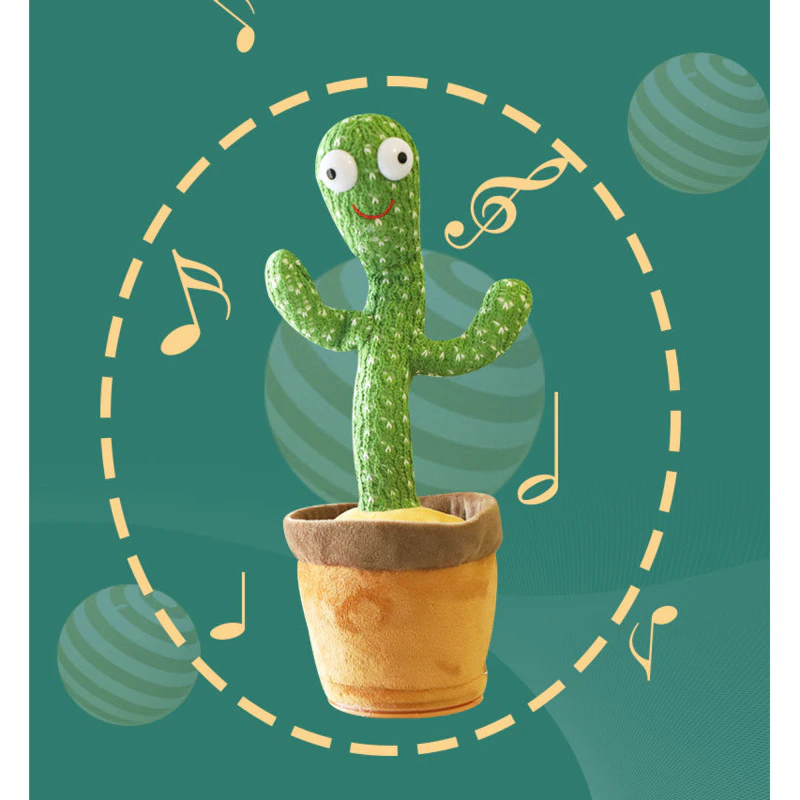 live cactus Cactus for Sale| Live Cactus Plants for Sale| Buy Cactus Online 8 Pack main image 0